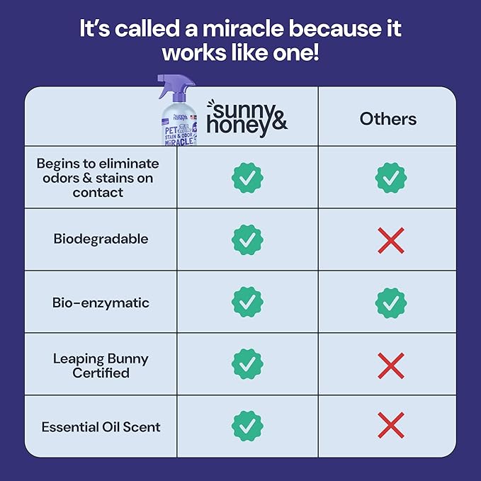 Sunny & Honey Pet Stain & Odor Miracle - 32 Fl Oz, Light Lavender Scent - Carpet Stain Remover & Urine Odor Eliminator - Upholstery Cleaner Spray - Enzyme Formula for Upholstery, Couch & Mattress