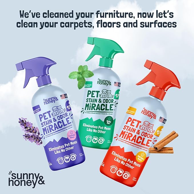 Sunny & Honey Upholstery Cleaner Spray - 32 Fl Oz, Mint - Pet & Kid Safe Stain Remover - Multi-Surface Furniture & Sofa Cleaner Spray - Fast-Drying Pet Stain Remover