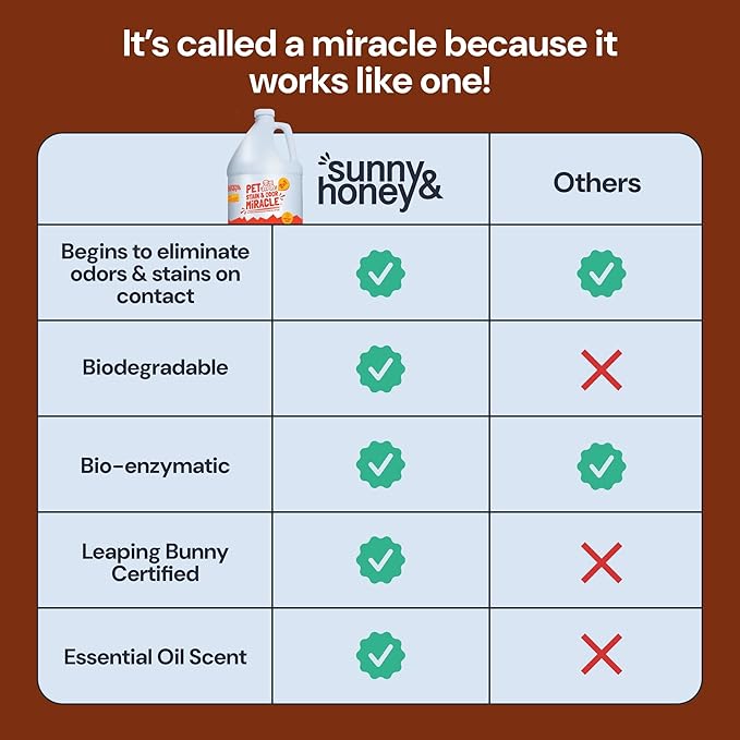 Sunny & Honey Pet Stain & Odor Miracle - 1 Gallon (128 Fl Oz), Fall Spice Scent - Enzyme Cleaner & Urine Odor Eliminator - Biodegradable Carpet Cleaning Solution - Enzymatic Cleaner for Dog Urine