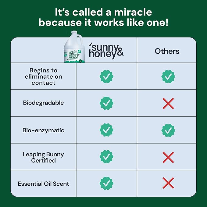 Sunny & Honey Enzyme Cleaner & Stain Remover - 1 gal (128 fl oz), Spring Mint Scent - Pet & Kid Safe Pet Enzyme Cleaner - Heavy Duty Carpet Cleaner Solution