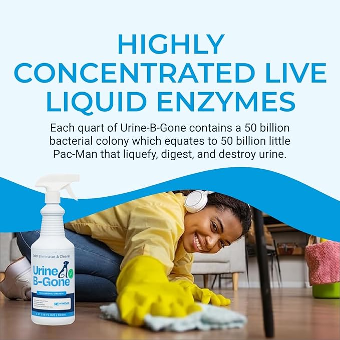 Kinzua Environmental Urine B-Gone, Professional Enzyme Odor Eliminator & Pet Stain Remover, Human, Cat & Dog Urine Cleaner, Effective on Laundry, Carpets & More, Original Scent, 32oz