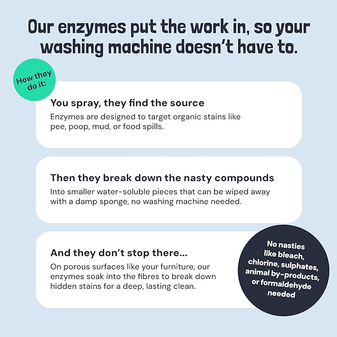 Sunny & Honey Upholstery Cleaner Spray - 32 Fl Oz, Mint - Pet & Kid Safe Stain Remover - Multi-Surface Furniture & Sofa Cleaner Spray - Fast-Drying Pet Stain Remover