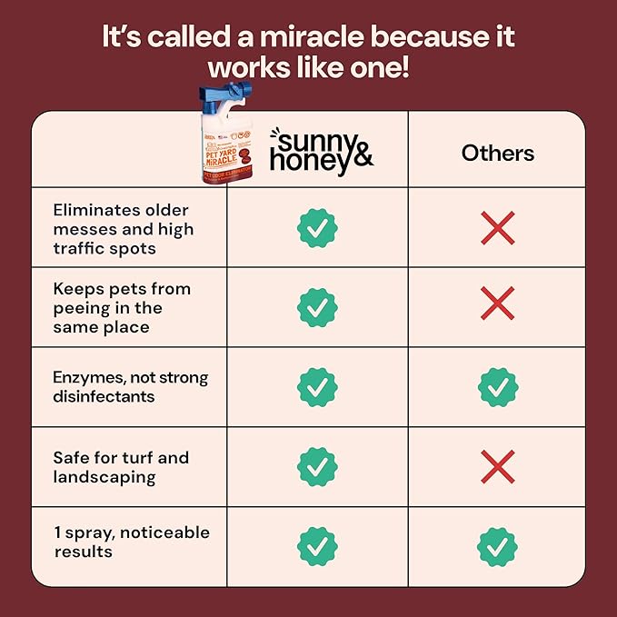 Sunny & Honey Pet Stain & Odor Miracle - 1 Gallon (128 Fl Oz), Fall Spice Scent - Enzyme Cleaner & Urine Odor Eliminator - Biodegradable Carpet Cleaning Solution - Enzymatic Cleaner for Dog Urine