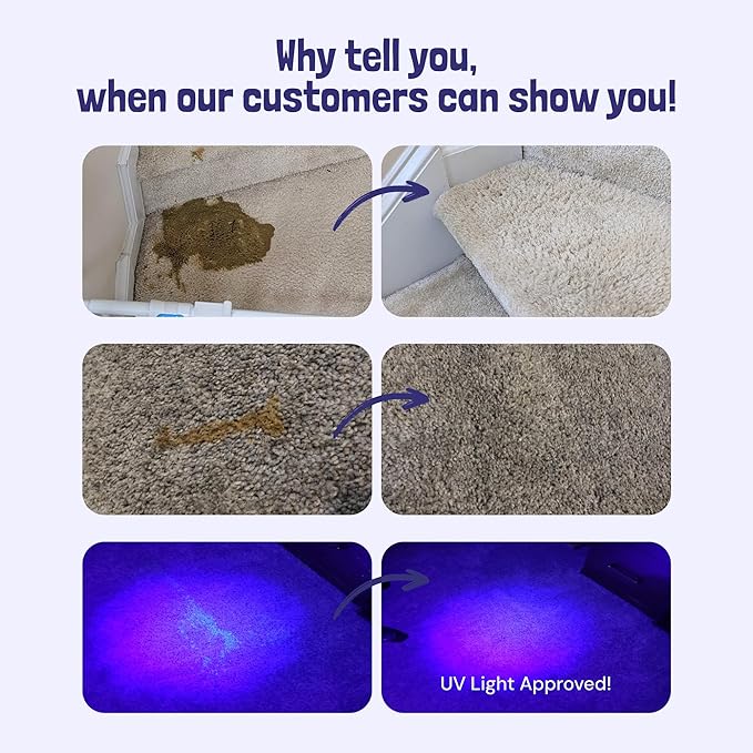 Sunny & Honey Pet Stain & Odor Miracle - 1 Gallon (128 Fl Oz), Light Lavender Scent - Carpet Cleaner - Enzyme Cleaner for Dog Urine & Cat Pee - Pet Stain Remover - Dog & Cat Urine Odor Eliminator