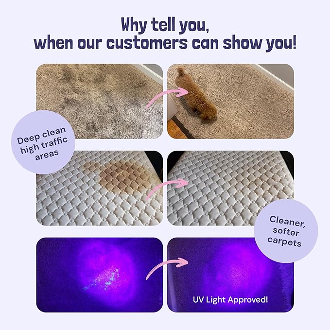 Sunny & Honey Carpet Cleaner Shampoo - 128 Fl Oz, Light Lavender Scent - Pet Stain Remover & Smell Eliminator - Rug Cleaner & Upholstery Cleaner Solution for Machine Use