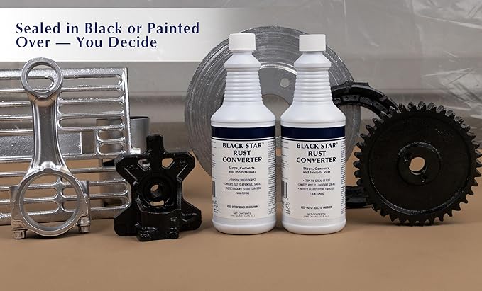 BLACK STAR Liquid Rust Converter - Sealant Primer for Steel Surfaces Turns Rust into Paintable Black Polymer Coating - 5 Gallon Pail