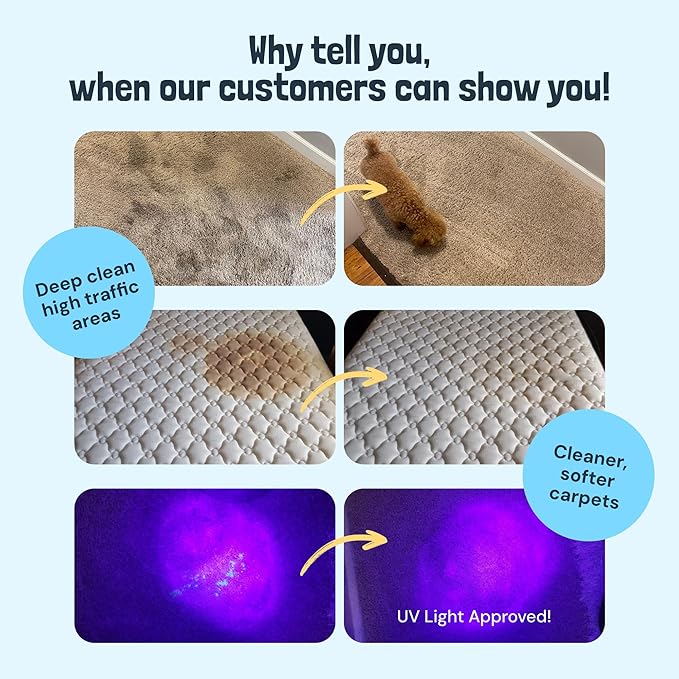 Sunny & Honey Carpet Cleaner Solution - 128 Fl Oz, Fresh Summer Scent - Deep Stain Remover & Surface Deodorizer - Pet & Rug Cleaner - Upholstery Cleaning for Machine Use