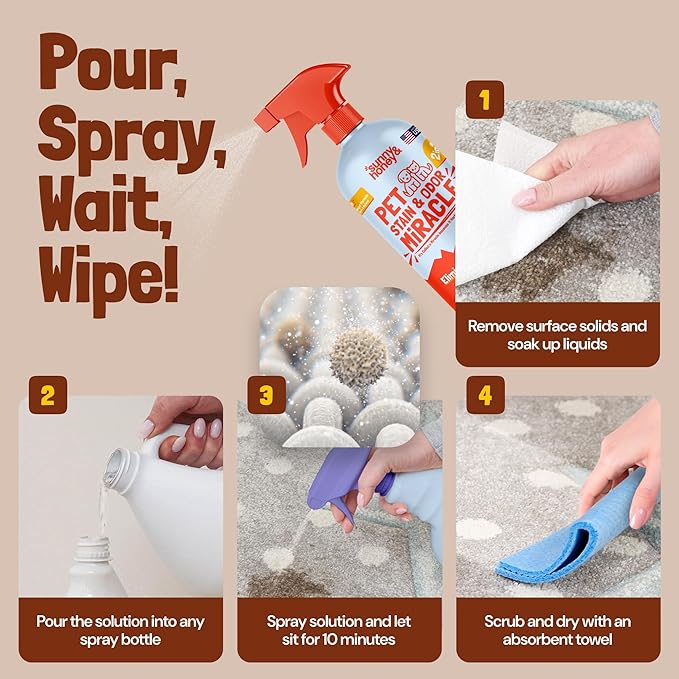 Sunny & Honey Pet Stain & Odor Miracle - 1 Gallon (128 Fl Oz), Fall Spice Scent - Enzyme Cleaner & Urine Odor Eliminator - Biodegradable Carpet Cleaning Solution - Enzymatic Cleaner for Dog Urine